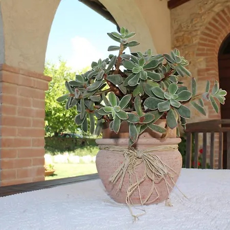 Poggio Della Rosa Amelia