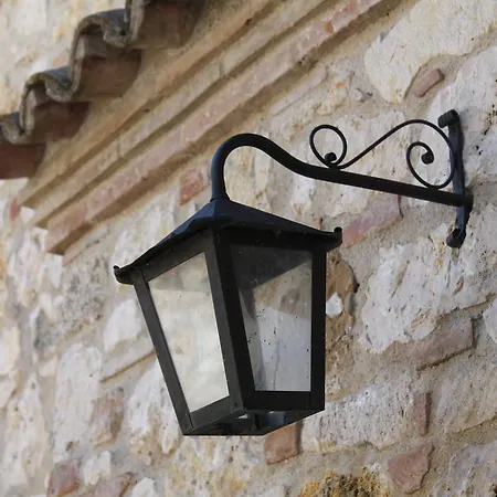 Poggio Della Rosa Amelia