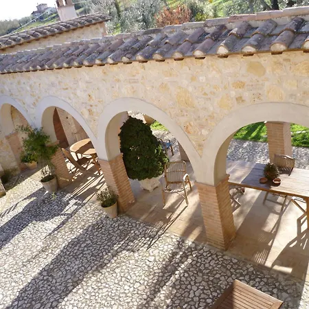 Poggio Della Rosa Amelia